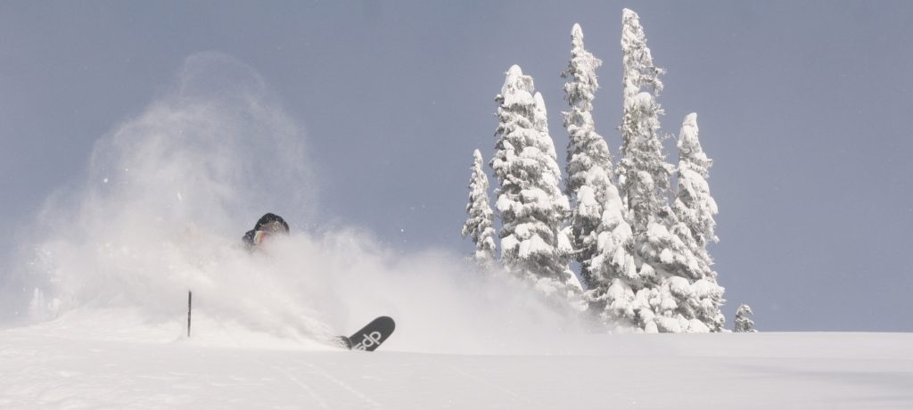 Fritschi Tecton Binding Review - a tech touring binding for alpine skiers