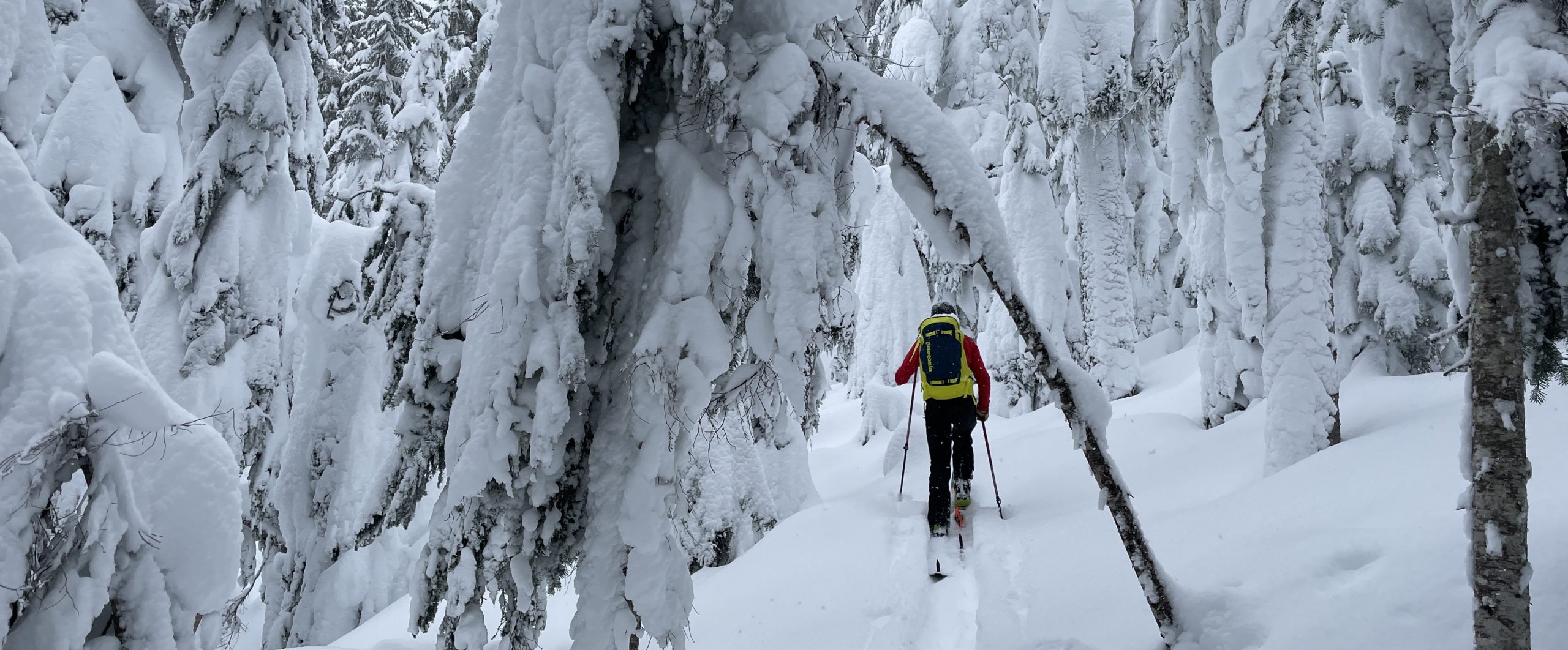 BCA Hybrid Climbing Skins OffPiste Magazine