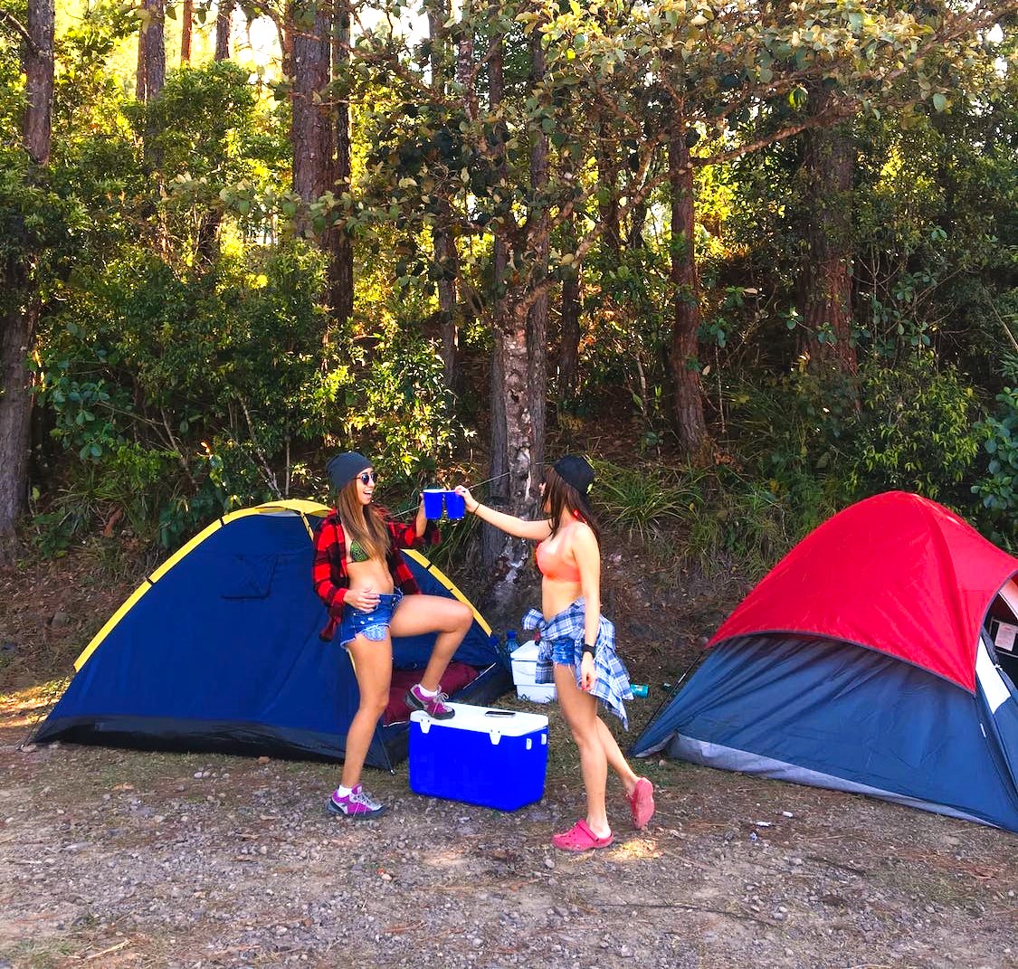 Top 4 Bear Proof Coolers Offroading 4×4 Guides & Reviews