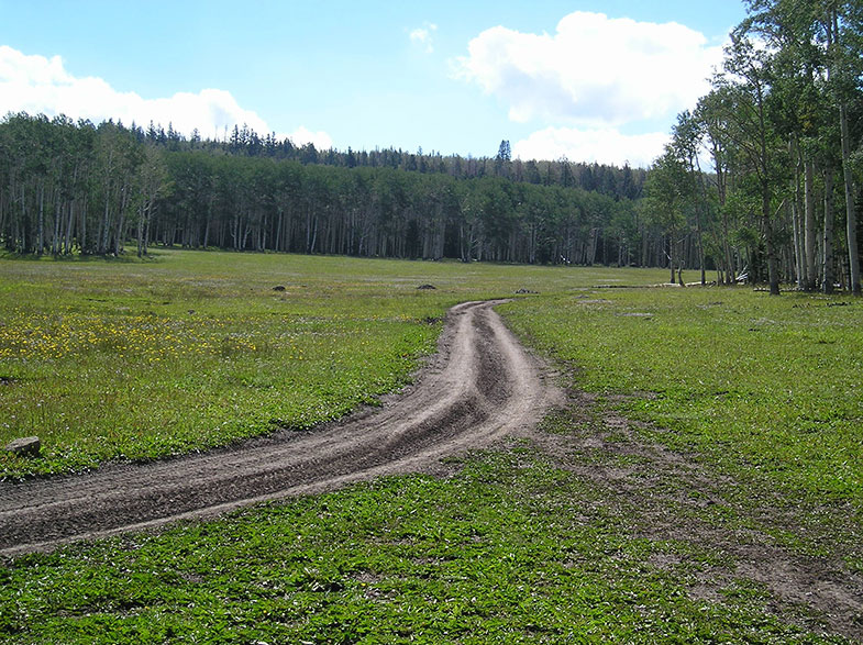 Can You Ride an ATV on Snowmobile Trails in Michigan? OffRoading Pro