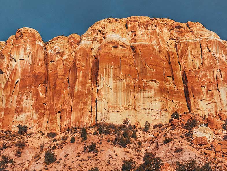 18 Best New Mexico Off Road Trails (Jeep, ATV, Etc.) OffRoading Pro