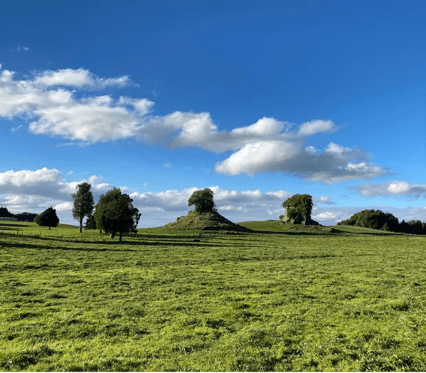 5 Interesting Facts About the Mamaku Plateau Off Road NZ