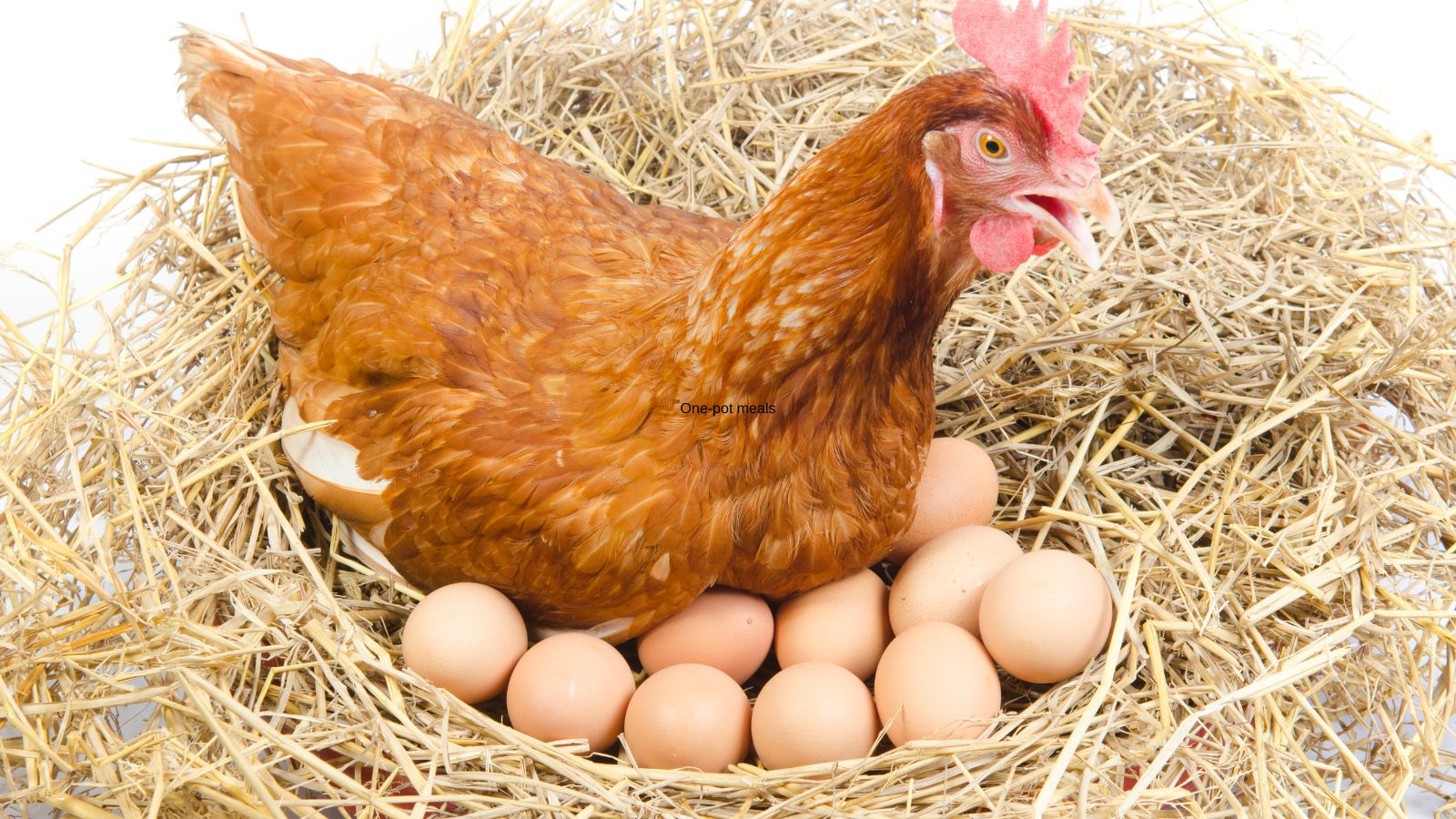 The Egg Puzzle CageFree Eggs vs. FreeRange Eggs Solved