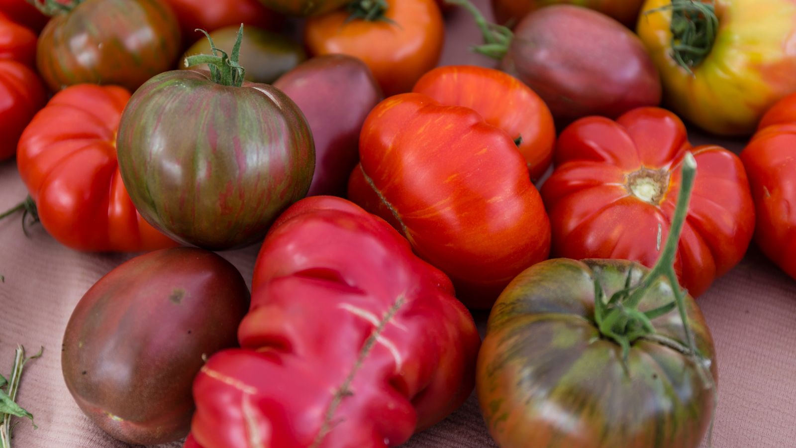 Discovering the Best Heirloom Tomato Varieties for Your Garden