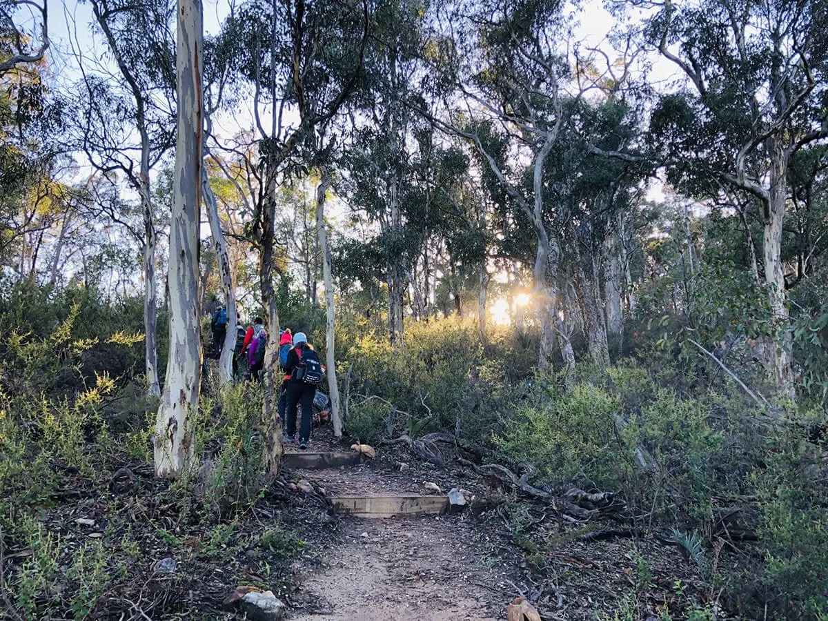Winter Hiking Trails in Perth Off The Beaten Track WA