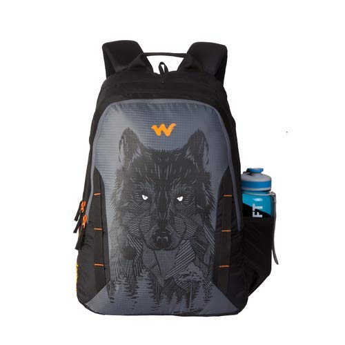American Tourister vs Wildcraft Finding the Coolest Backpack Off the