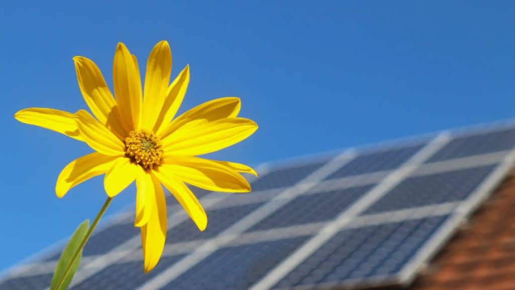 Do You Need a Permit for OffGrid Solar Power? Off The Grid