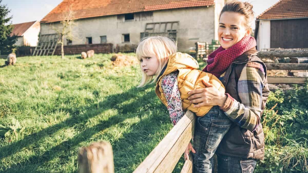 Off Grid Vs. Homestead Here Are the Differences Off The Grid