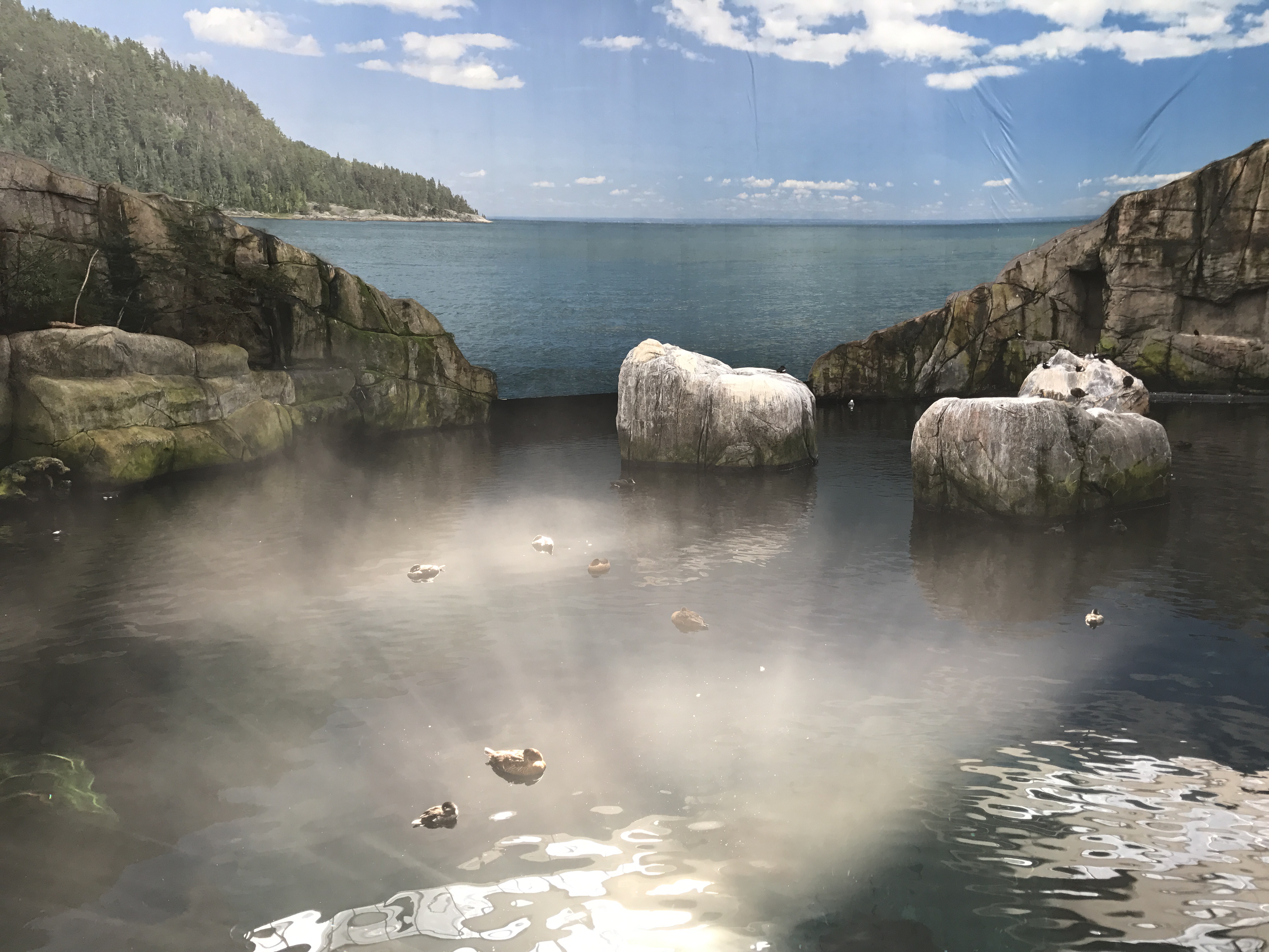 Que faire quand il pleut à Montréal ? ☔ Off to Montréal