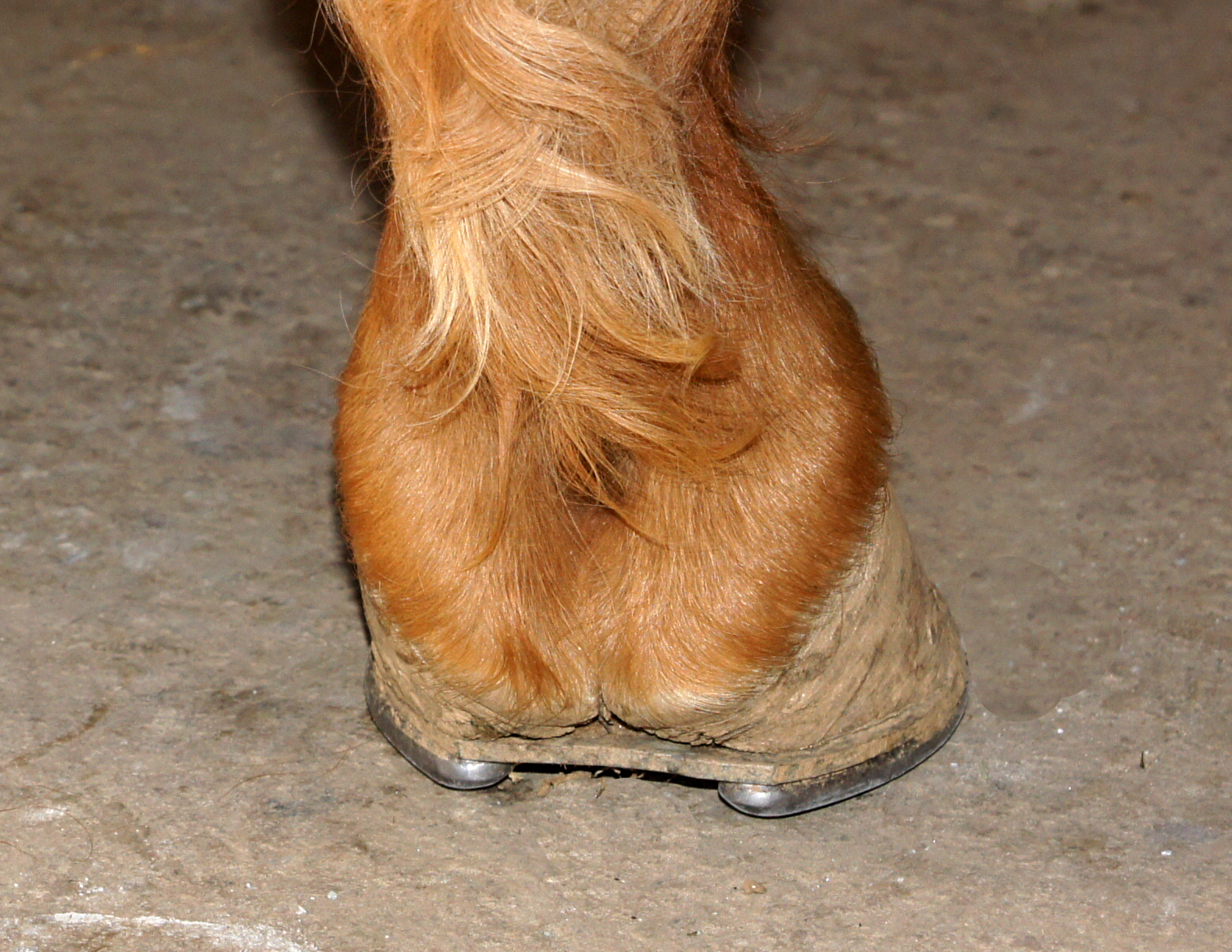 Coffin Riddle Question