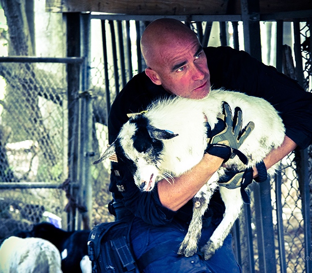 Largest illegal US slaughterhouse raided, closed