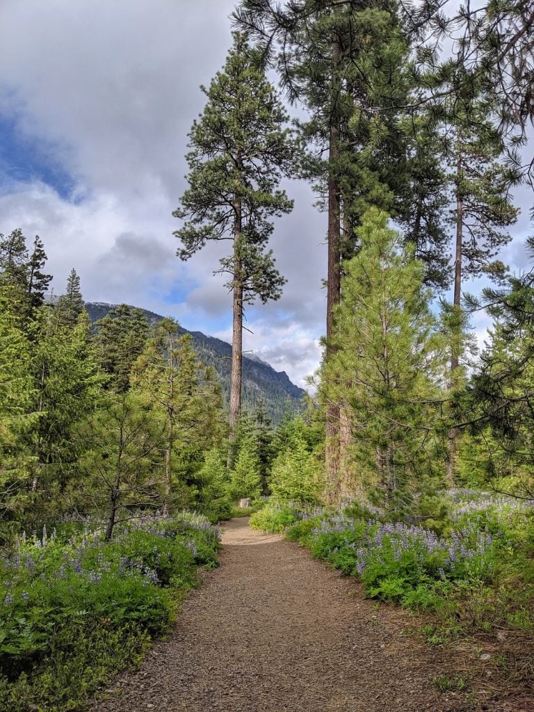 6 Fast and Fun Leavenworth Hikes (3 Hours or Less)