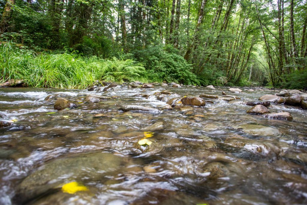 Protecting Oregon’s Best Source Of Clean Water