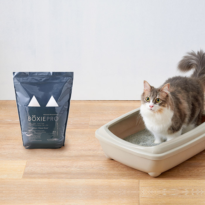 BOXIE CAT PRO ブラック(7.2kg) 株式会社オーエフティー