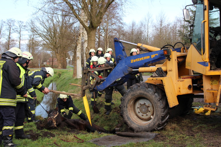 31.01.2016 Großtierrettung in Strücklingen