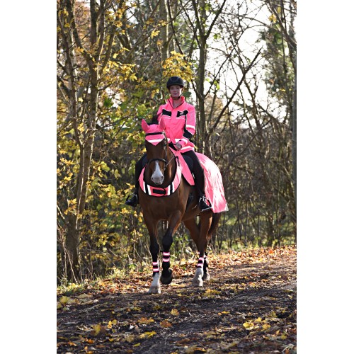 Equisafety Hi Viz Horse Ear Covers Outdoor Functional Wear