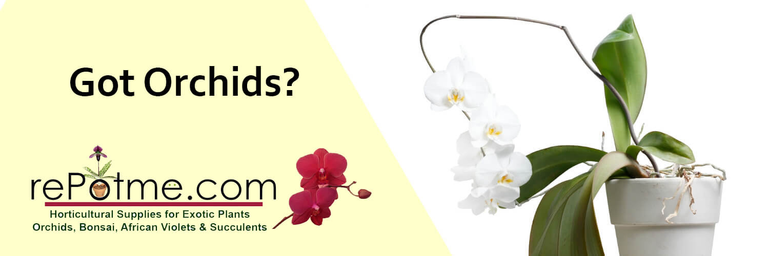 rePotme Orchid Supplies