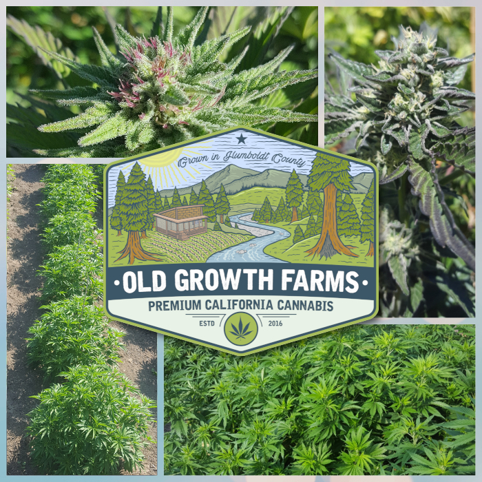 Old Growth Farms Premium California Cannabis
