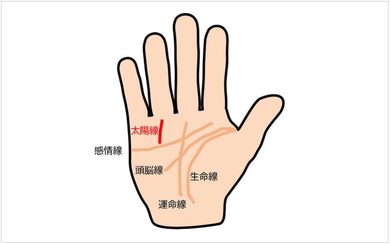 レア手相「太陽十字線」がある人、恵まれすぎてる件 | 笑うメディア クレイジー 手相占い】薬指の下に線があるとラッキー？ 占い師がその意味や見方を教えます | Oggi.jp | Oggi.jp