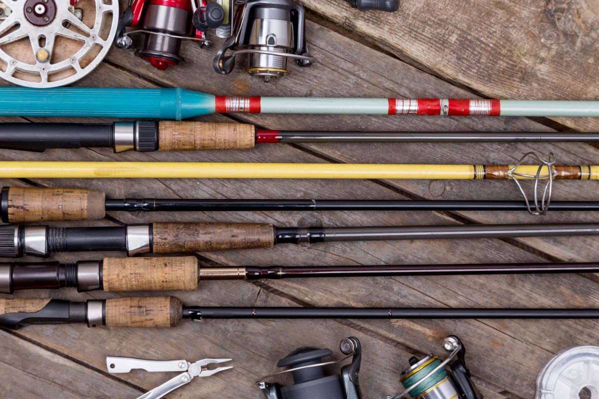 Best Fishing Rod and Reel Combo for Beginners [2024]