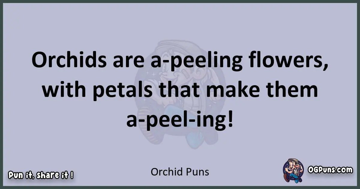 240+ Orchid Puns Blooming Brilliance in Abundance
