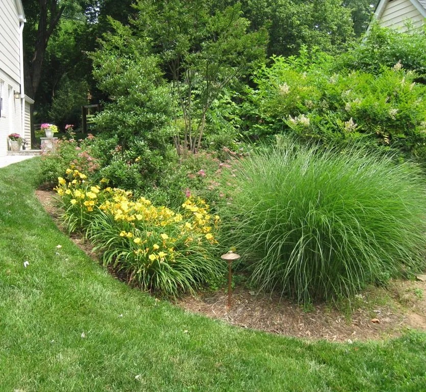Photos of Plants in Northern Virginia Plant Gallery