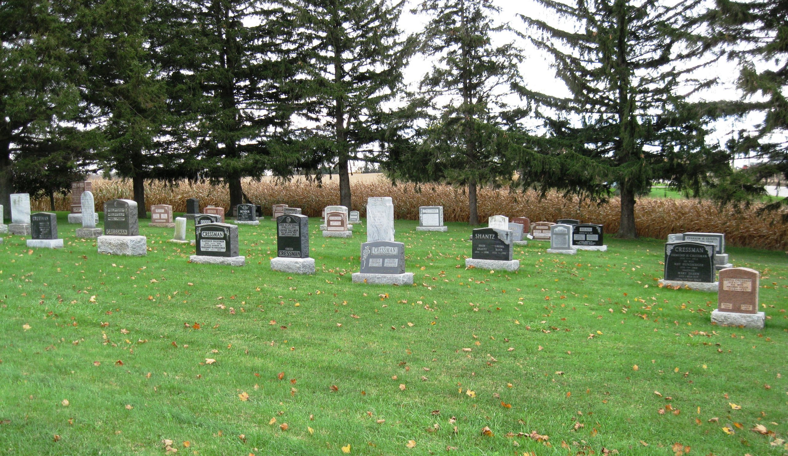 Wilmot Township Nith Valley Mennonite Cemetery Ontario Ancestors