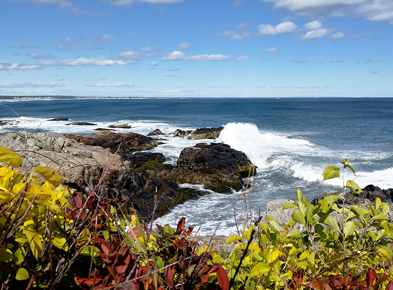 Autumn Arrives In Ogunquit On The Marginal Way Ogunquit Barometer