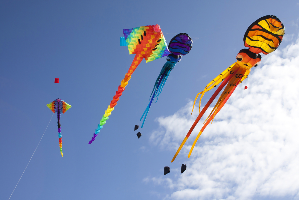 22nd Annual Capriccio Festival of Kites with the Music of Andy Happel
