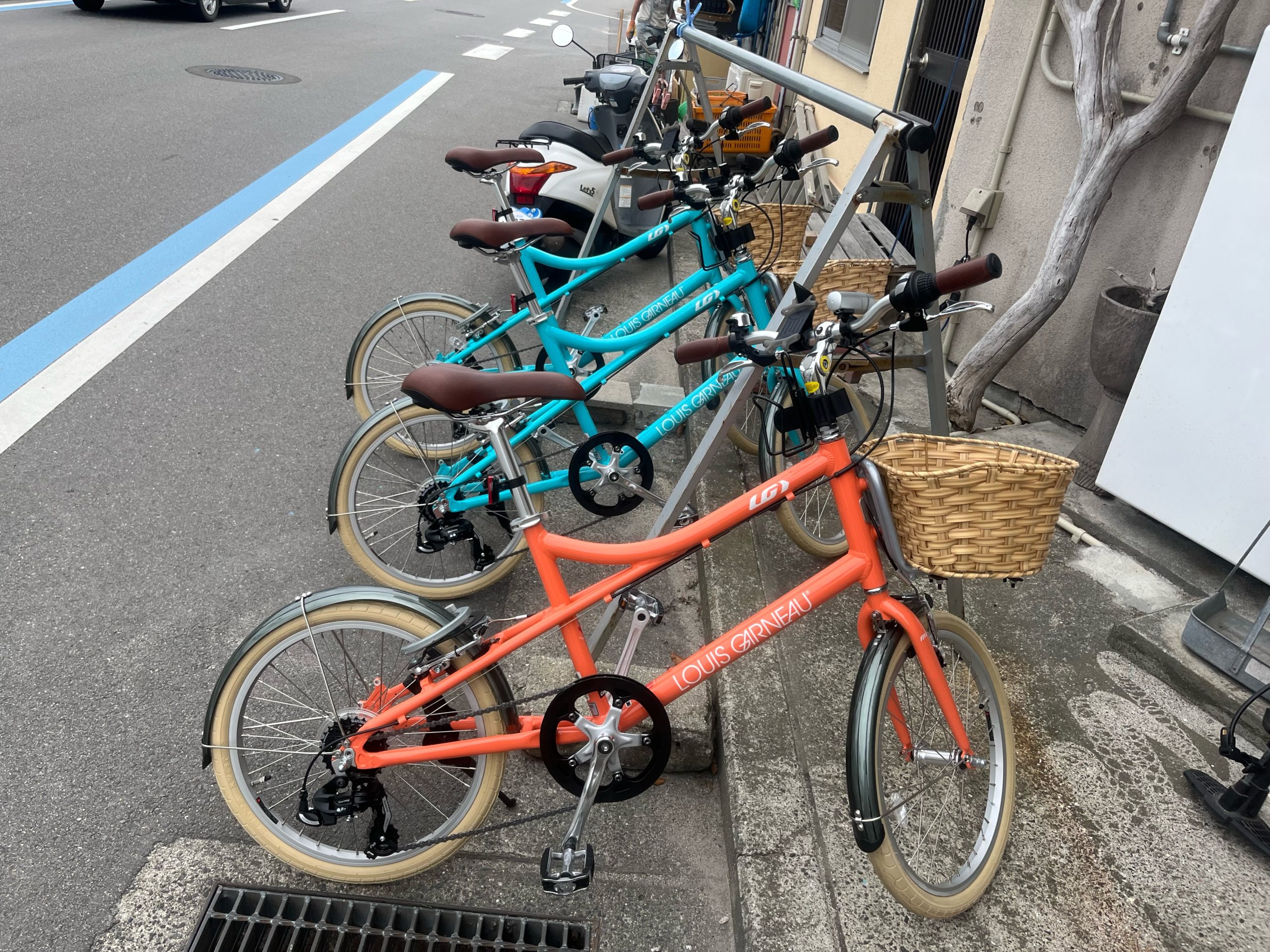 アクティビティ OHANA in 御島