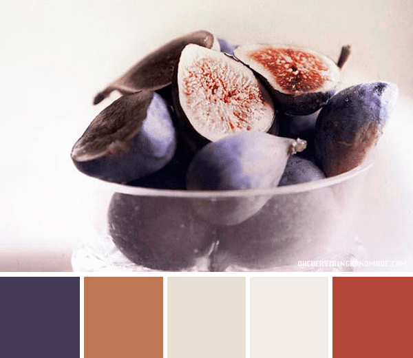 Color Palette // Figs to snack on