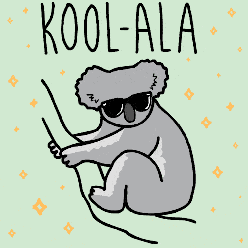 17 Interesting Facts About Koalas OhFact!