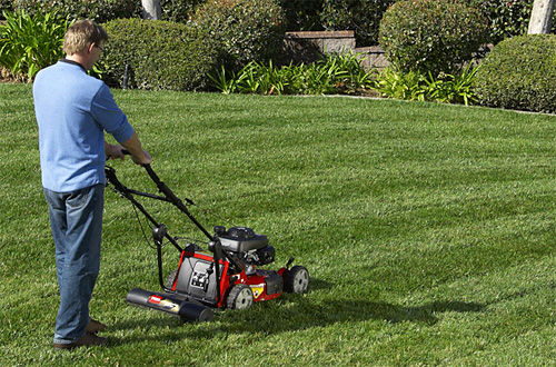 toro_striper | OhGizmo!