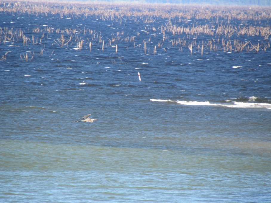South Toledo Bend State Park Oh Happy Daze