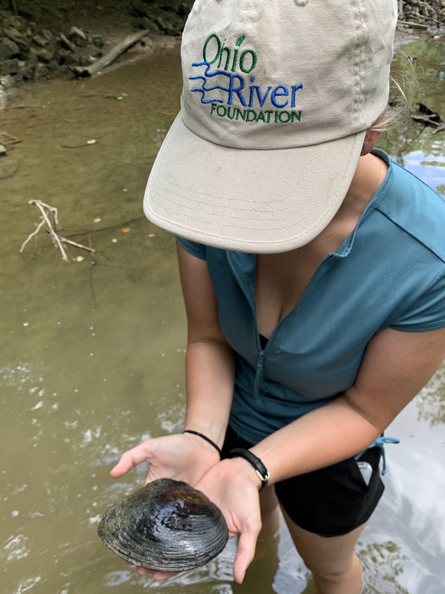 Mussels The Marvelous River Rockstars Living in our Waterways Ohio River Foundation