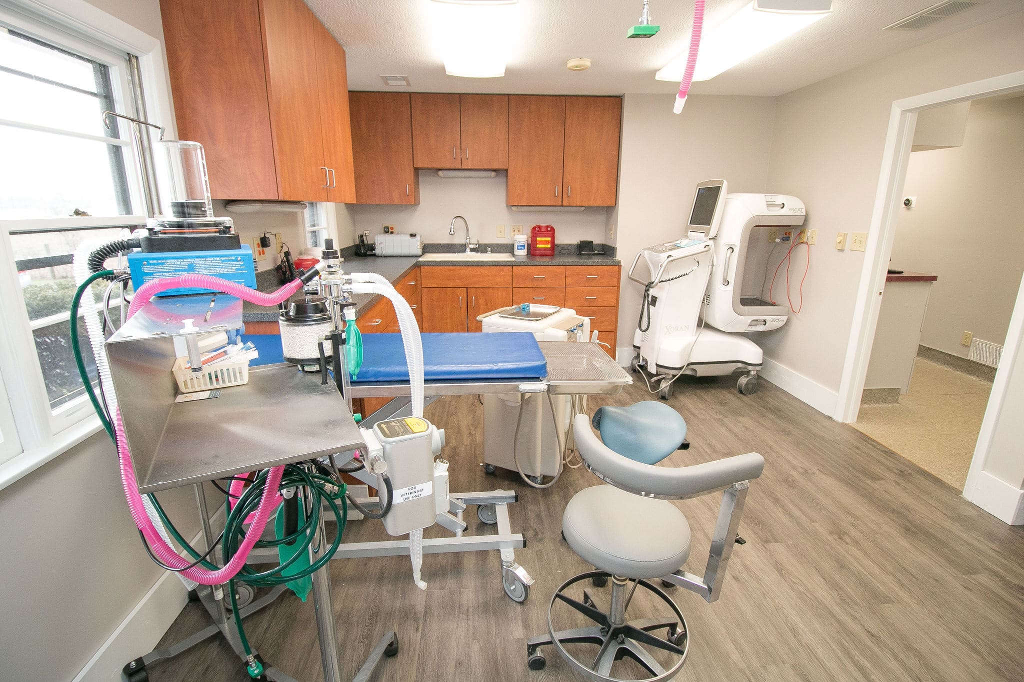 Veterinary Dentistry and Oral Surgery of Ohio