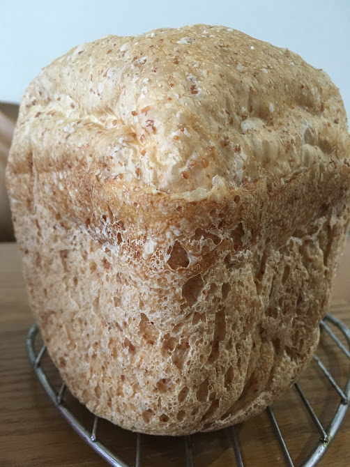 【完璧に近い焼き上がり】少しのイースト＆ホームベーカリーで焼くロデブ おひとりワイン