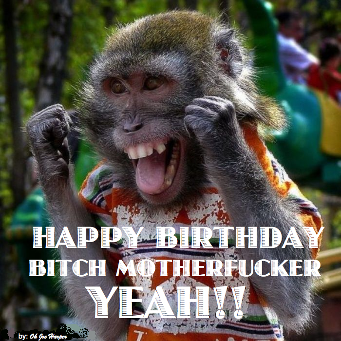 Funny Happy Birthday Monkey Pictures