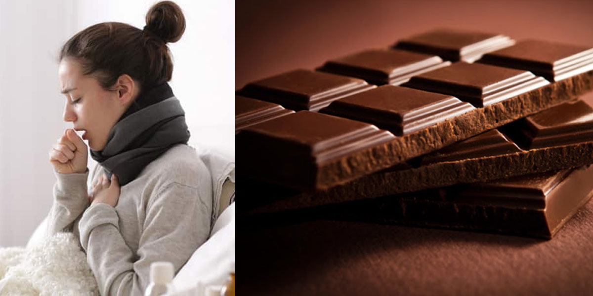 Chocolate A Delicious Cure for Your Health Problems