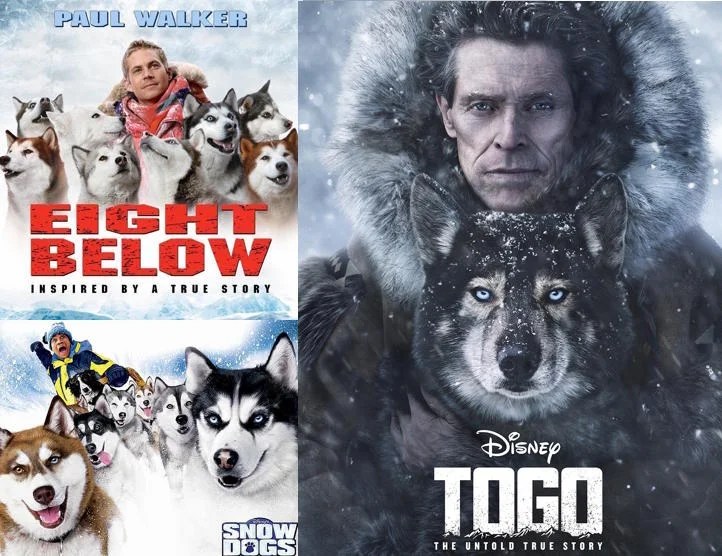 Siberian Husky Movies You Need To See - Ohl