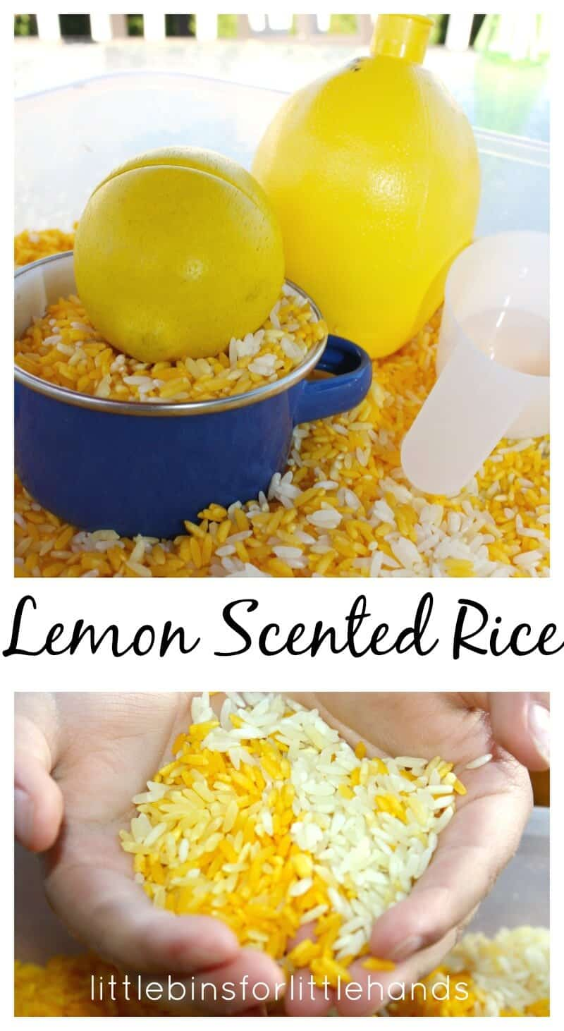 20 Creative Rice Sensory Play Ideas for Kids