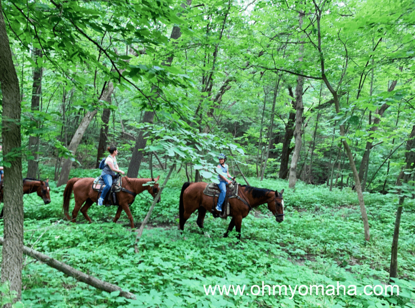 23 Places For Horseback Riding, Camps & Lessons Near Omaha Oh My! Omaha