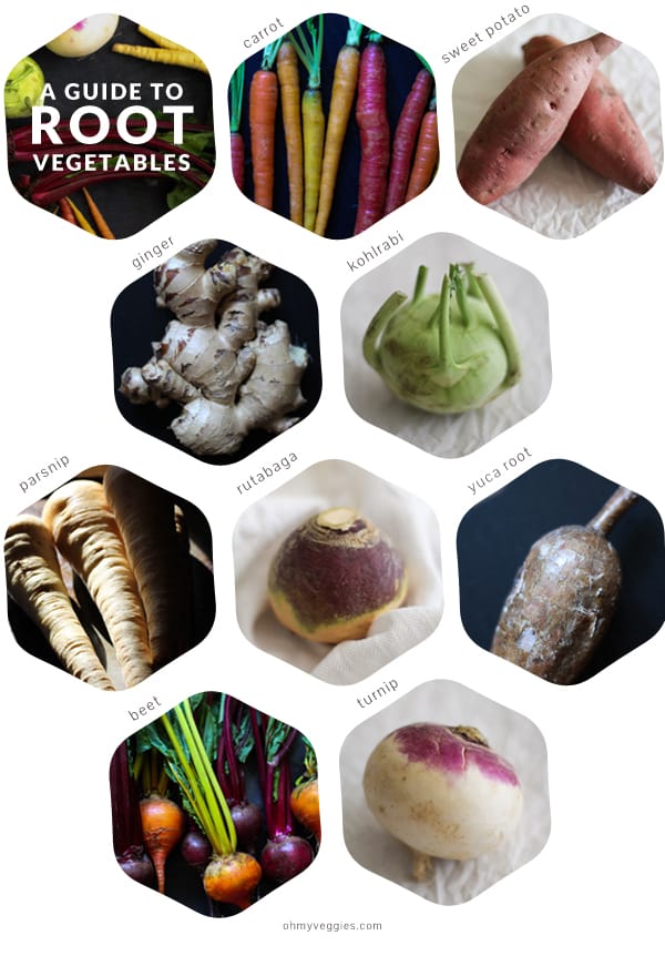 A Guide to Root Vegetables Cook them all! Oh My Veggies