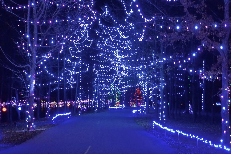 Enter to Win a Car Pass to Pyramid Hill's Holiday Lights! Southwest