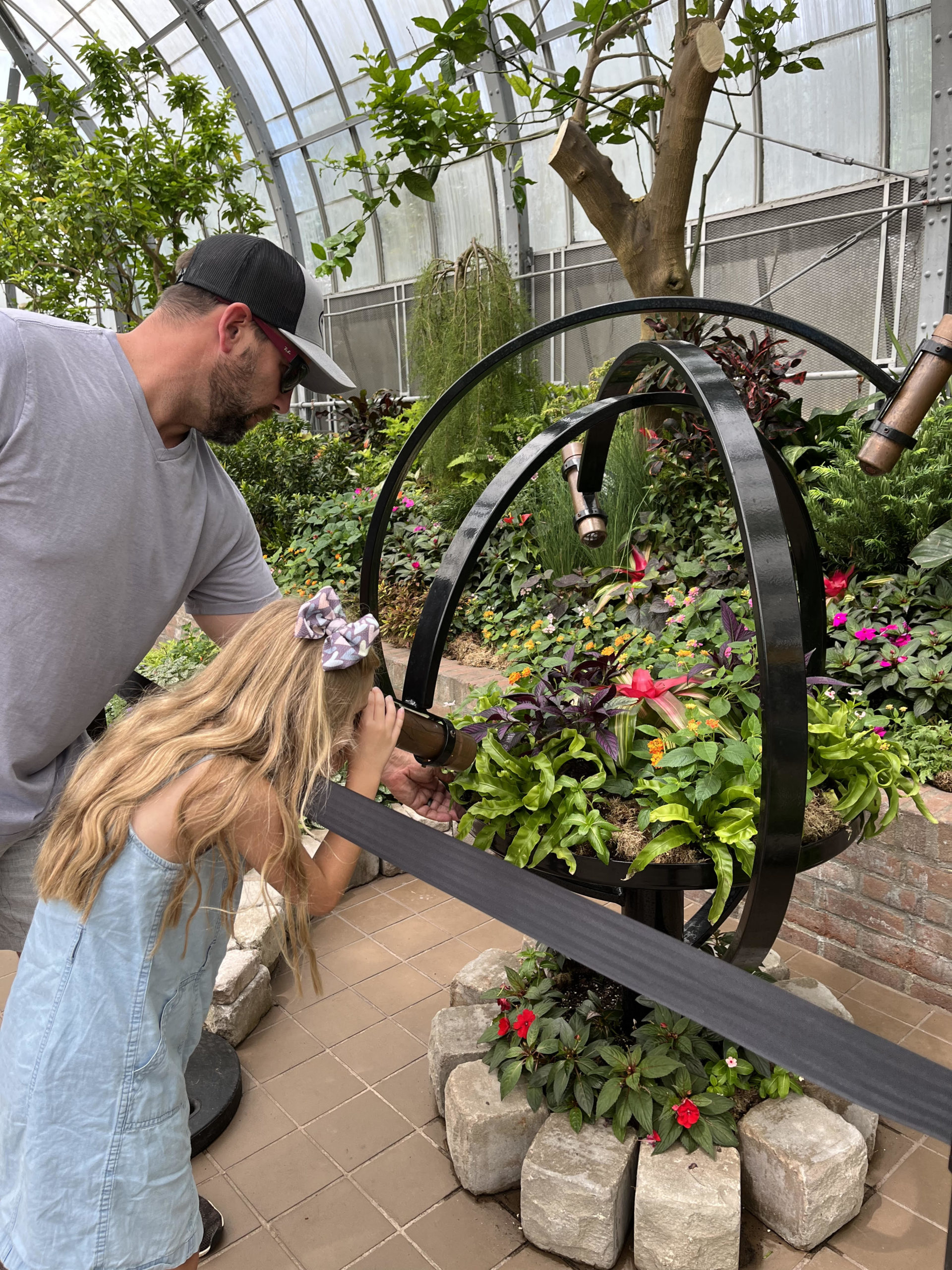 Primatica Science of Color at Krohn Conservatory Southwest Ohio