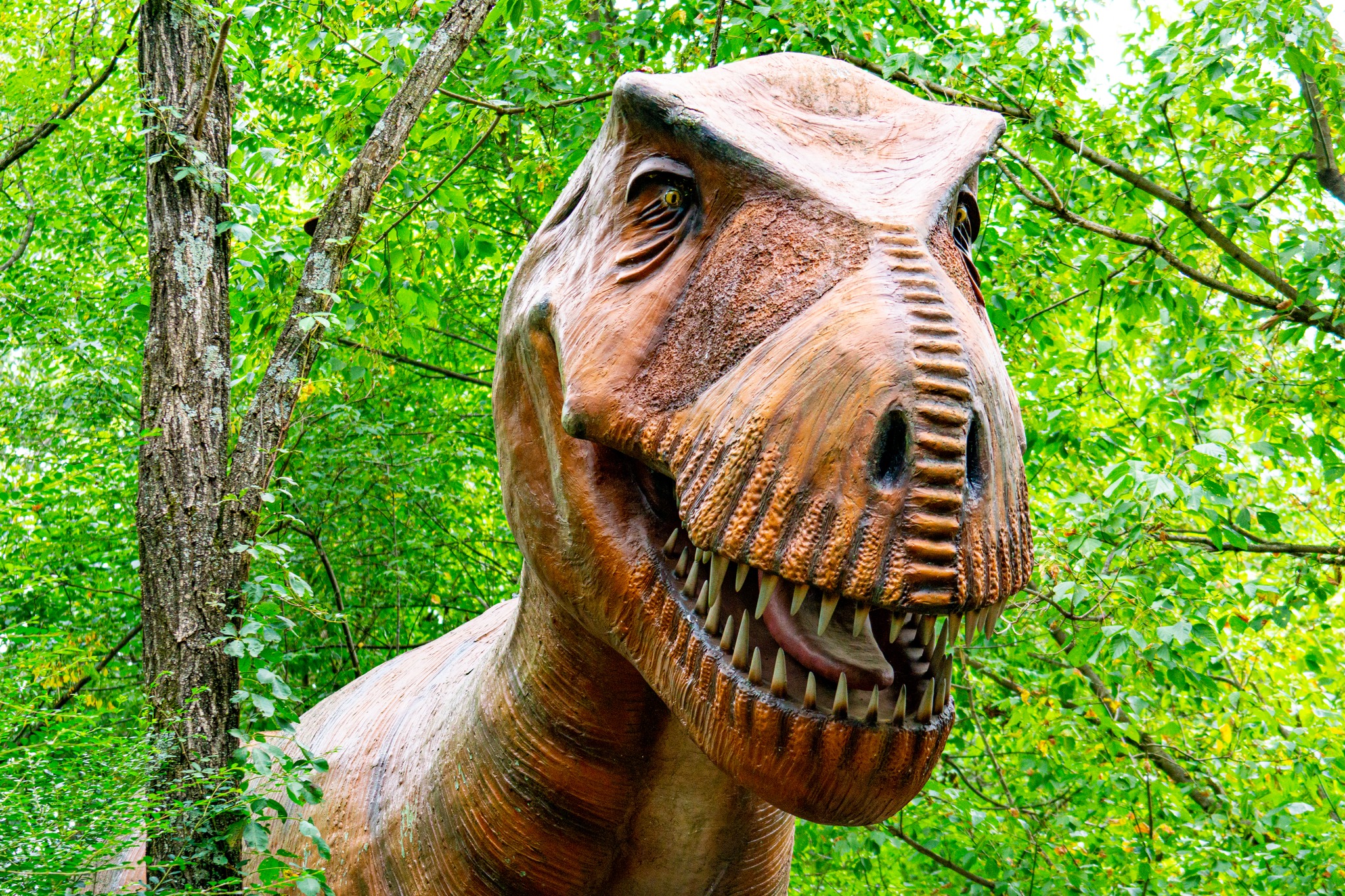 Dinosaur World in Cave City, Kentucky Southwest Ohio Parent Magazine