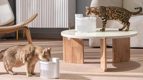 Uahpet, The Creator Of The Wireless Cat Water Fountain, Reports 500
