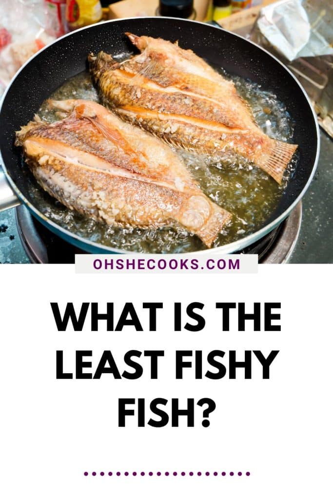 Hate Eating Fish? Here is Some Least Fishy Fish You Must Try