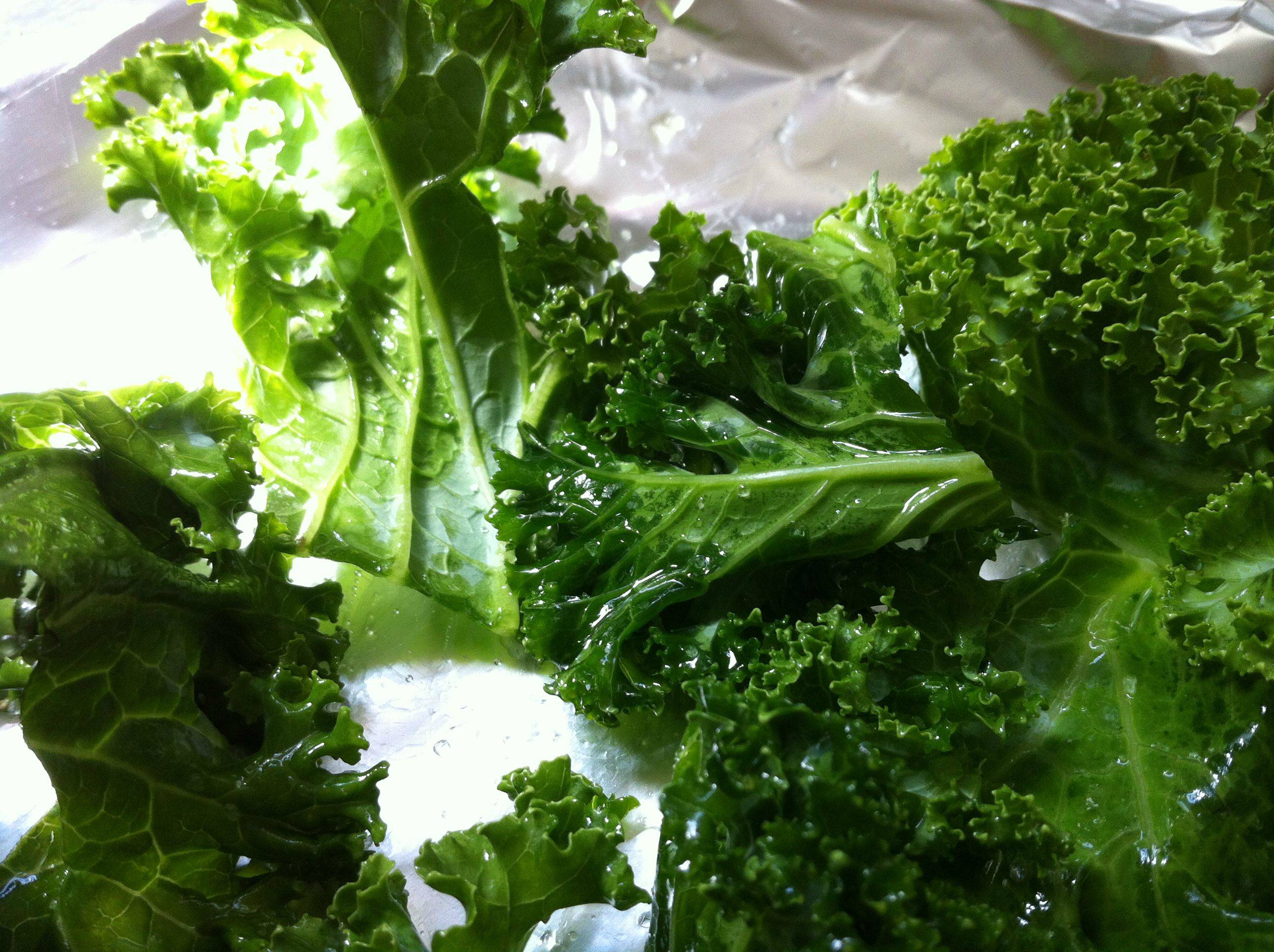 Kale Chips Recipe Healthy, Yummy, and Easy to Make Oh Snap! Let's Eat!