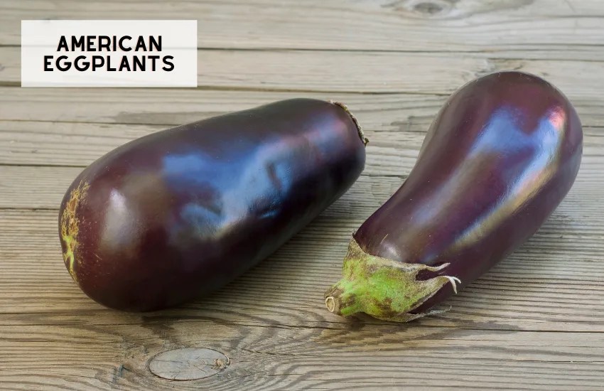 Different types of Eggplants (and Recipes!) • Oh Snap! Let's Eat!